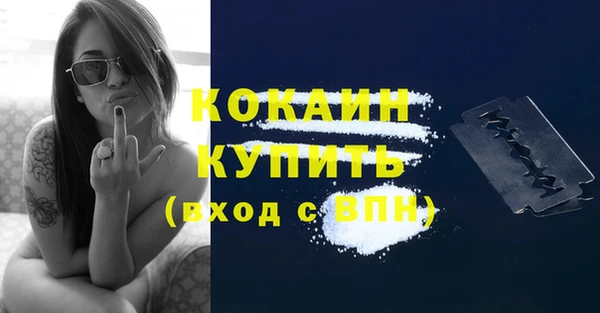 таблы Новодвинск