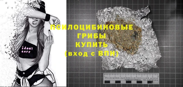 тгк Новозыбков