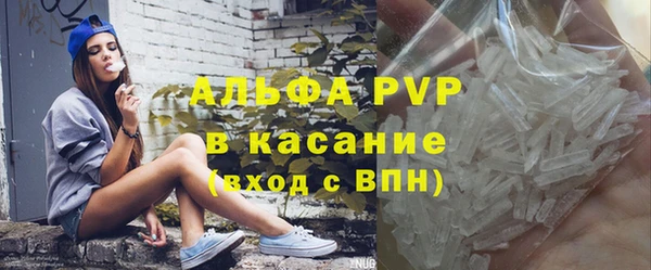 тгк Новозыбков