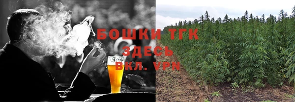 тгк Новозыбков