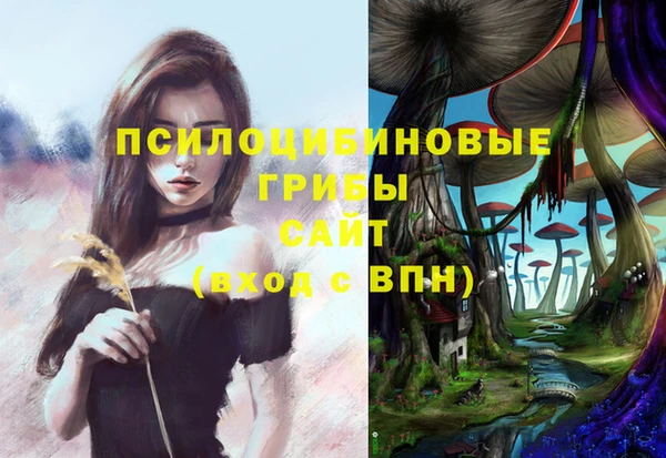 тгк Новозыбков
