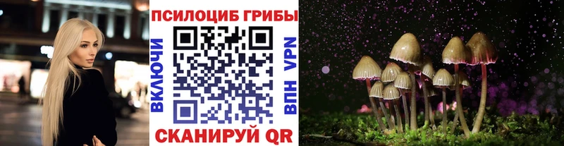 Галлюциногенные грибы GOLDEN TEACHER  Сарапул 