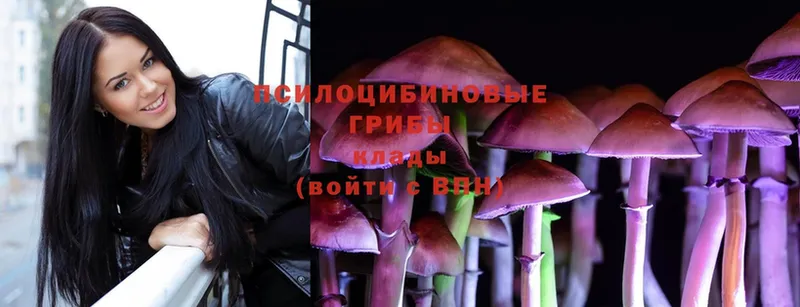 купить   Сарапул  Псилоцибиновые грибы MAGIC MUSHROOMS 