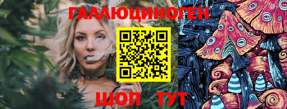 Сарапул  Галлюциногенные грибы Psilocybine cubensis  Вход с VPN 